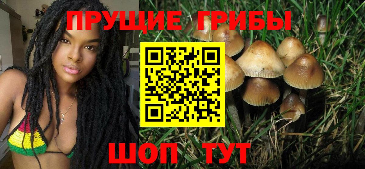 Новошахтинск  Псилоцибиновые грибы GOLDEN TEACHER  Галлюциногенные грибы Psilocybine cubensis  Вход с VPN 