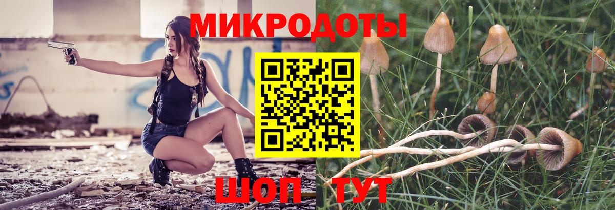 Псилоцибиновые грибы Psilocybine cubensis Новошахтинск
